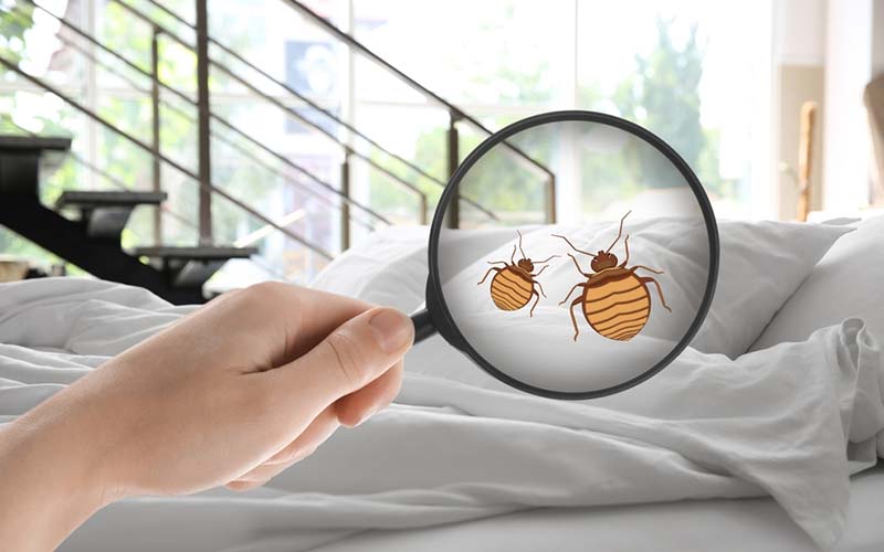 carpet cleaning in new york, carpet cleaning New York, carpet cleaners in New York, commercial carpet cleaning, commercial carpet cleaning in New York, New York rug cleaners, rug cleaning services in New York, same day carpet cleaning, same day rug cleaning, upholstery cleaning services in new york, carpet cleaning services in ny, ny carpet cleaning , rug cleaning ny, upholstery cleaning ny