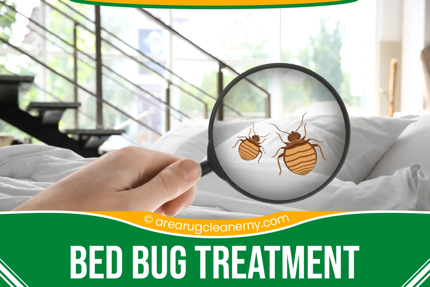 carpet cleaning in new york, carpet cleaning New York, carpet cleaners in New York, commercial carpet cleaning, commercial carpet cleaning in New York, New York rug cleaners, rug cleaning services in New York, same day carpet cleaning, same day rug cleaning, upholstery cleaning services in new york, carpet cleaning services in ny, ny carpet cleaning , rug cleaning ny, upholstery cleaning ny