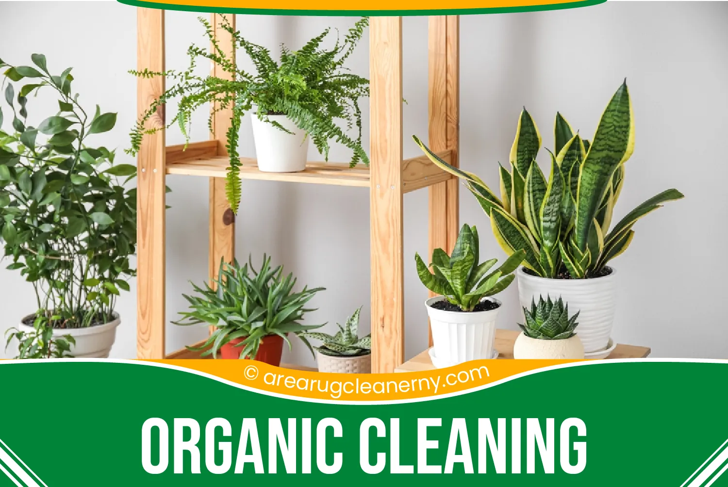 carpet cleaning in new york, carpet cleaning New York, carpet cleaners in New York, commercial carpet cleaning, commercial carpet cleaning in New York, New York rug cleaners, rug cleaning services in New York, same day carpet cleaning, same day rug cleaning, upholstery cleaning services in new york, carpet cleaning services in ny, ny carpet cleaning , rug cleaning ny, upholstery cleaning ny